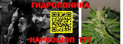 стаф Усть-Илимск